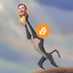 抄底信仰：熊市中的Notcoin投资策略