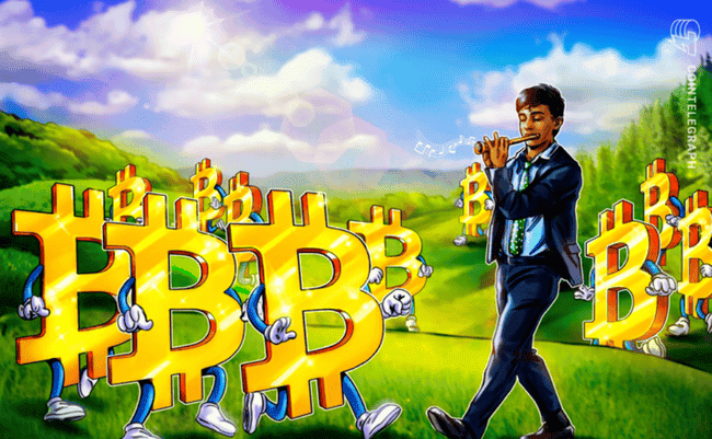 机构投资者增持 10 万 BTC，逢低买入比特币 