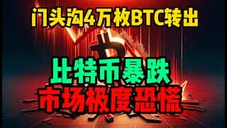 币圈恐慌，比特币暴跌，Solana和狗狗币还有机会吗？
