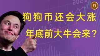 狗狗币最新行情分析：还能继续上涨吗？年底大牛市会来？