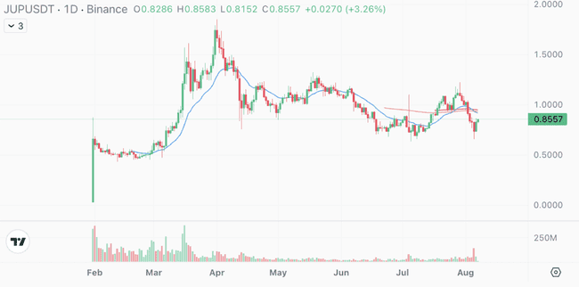 除了一个,Binance 2024 上架币种普遍跌超 50%