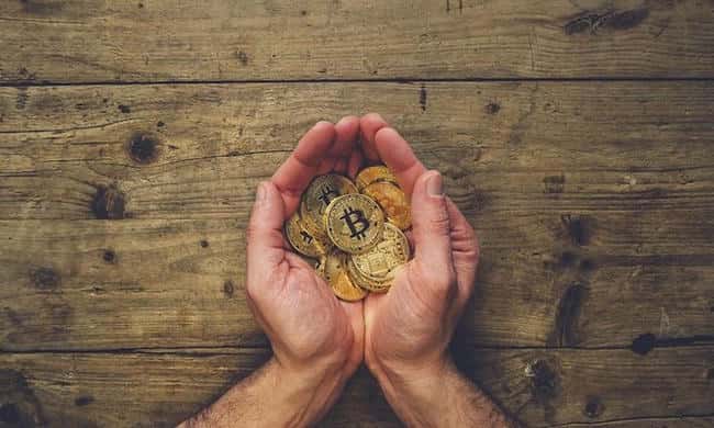 链上数据：持仓超过100枚比特币的地址数量创下17个月新高