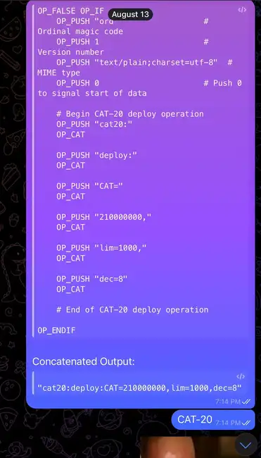 一天发布三个OP_CAT协议，比特币生态将迎来重大变革？
