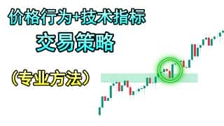 如何在任何交易市场中运用简单高效的价格行为交易策略，学习专业人士的获胜之道。