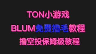 Blum 免费挖矿教程 | TON 小游戏 Blum 多开挖矿教程 | Blum 刷积分领空投 | Blum 是币安前高管推出的项目，获得币安支持，值得关注。#ton #airdrop #多开撸毛教程
