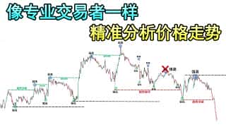 新手交易员必修课：掌握市场结构，精准预测走势，像5%顶尖交易员一样思考。