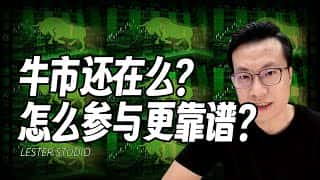 市场是否仍然处于牛市？如何才能更可靠地参与其中？我如何参与？从中获得了什么启示？