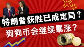狗狗币狂飙：美国大选日暴涨，未来走势如何？