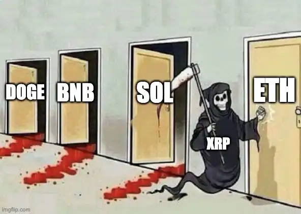 老牌公链强势崛起，借助MEME发射平台寻找百倍机遇