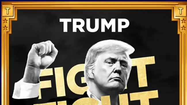 美国基金公司向SEC提交迷因币ETF申请，含TRUMP、DOGE等，彭博分析师惊叹市场魔幻