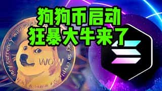 狗狗币暴涨：解读2025年币圈新机遇与投资风险