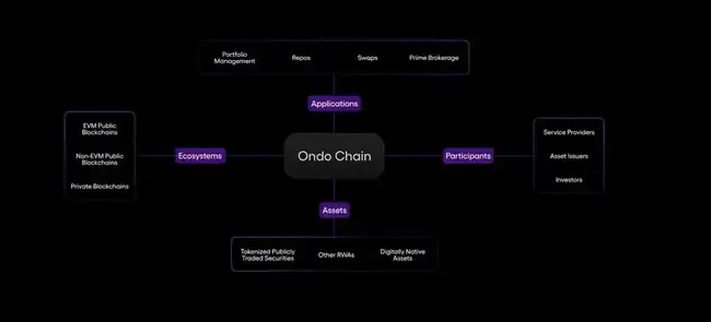 特朗普与华尔街支持下的Ondo：RWA迎来飞速增长机遇？
