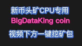 2025年BDK头矿挖矿教程：实战指南，轻松入门，快速致富