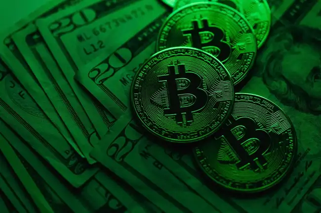 熊市生存指南：揭秘近期值得关注的十大潜力早期项目Waitlist