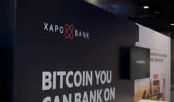 比特币四年周期仍是铁律？Xapo CEO：熊市不需大事件