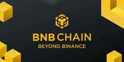 机构疯抢BNB：散户最后的暴富机会？