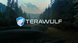 谷歌加持！TeraWulf斩获37亿AI大单，股价飙升近六成