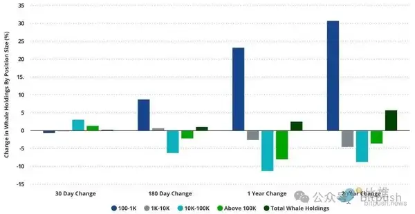 谁在抛售BTC？最新数据揭示持币者真相！谁在抛售BTC？最新数据揭示持币者真相！