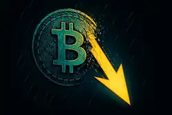 比特币暴跌幕后:华尔街与长期持币者联手抛售420亿!