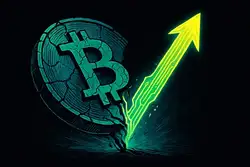 观察:黄金、科技股狂抄底,比特币为何无动于衷?