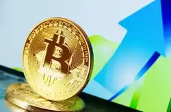 比特币涨势所需的关键因素是什么?