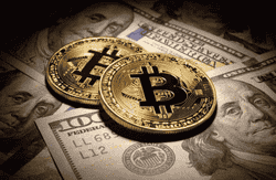 4500万美元的“隐形”猎手：猫姐交易进化全揭秘！