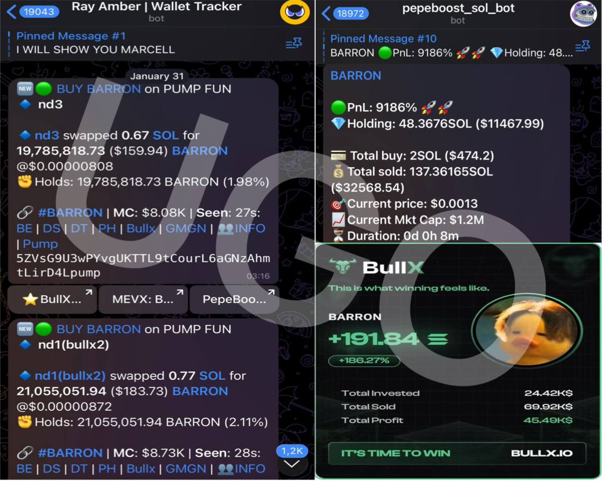 18岁少年50美元起家：揭秘钱包追踪术如何实现百万财富神话