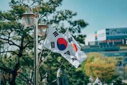 韩国芯片双雄暴跌8%引爆熔断!AI牛市神话一夜崩塌