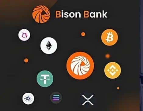 欧洲Bison银行:法币与加密货币自由兑换,个人企业开户无忧!
