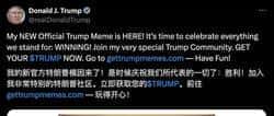特朗普币引爆市场，探索牛马人生的财富密码