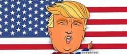 Trump币12小时内暴涨150倍，一夜暴富神话成真？