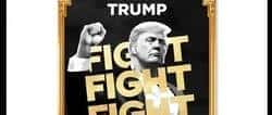 TRUMP币潜在巨大负面影响全解析