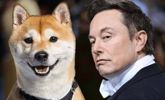 狗狗币($DOGE)价格走势分析:未来前景展望