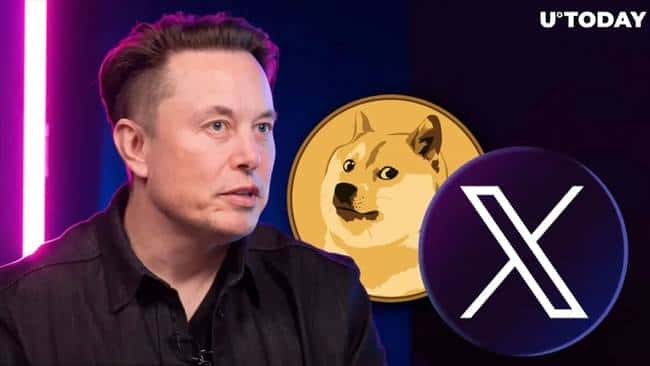从玩笑到暴富:Meme币狂潮揭秘,财富密码与风险预警!