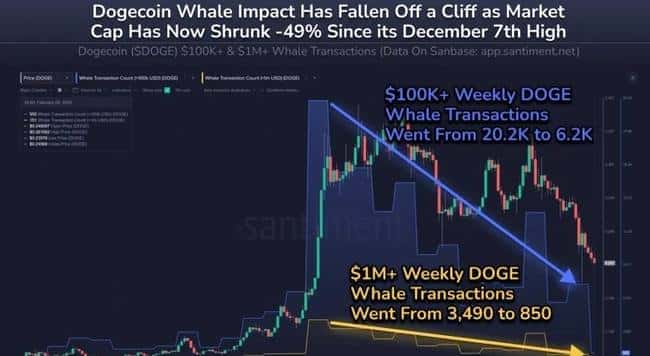 狗狗币暴跌25%!大额交易骤减,未来能否迎来翻身之机?
