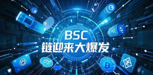 币安系Meme币火爆BSC生态,投资机遇与策略全解析