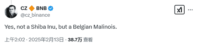 CZ宠物曝光引爆Meme币热潮,BNB短期飙升超10%!