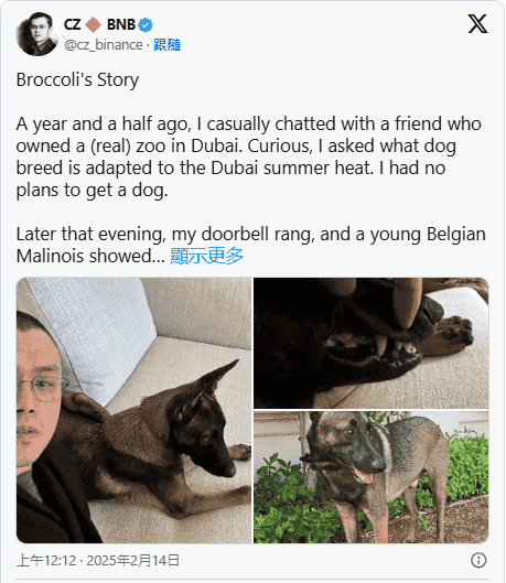 狗狗Broccoli币圈爆红:顶流背后的机遇与挑战