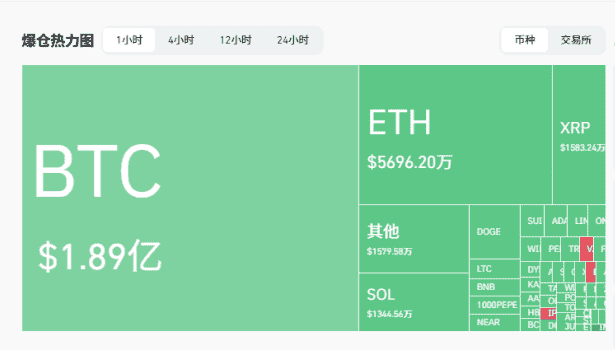 比特币暴跌至8.8万，千币跌停！抄底还是割肉？熊市已至？