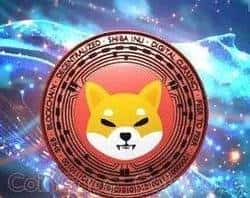 柴犬币SHIB暴涨60倍，你抓住这波行情了吗？