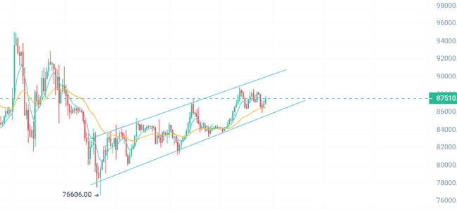BTC冲刺9万大关，ETH疲态初现；Meme与AI板块强势崛起，BNB与Sol生态分化加剧