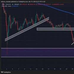 SHIB燃烧率激增640%却价格下跌：未来走势引关注