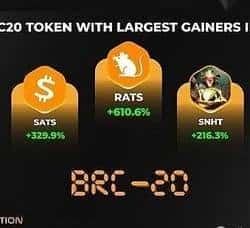 揭秘潜力币种RATS：每日一币深度解析