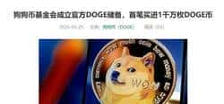 狗狗币基金会放大招：官方首笔买进1000万枚DOGE，矿工们准备抄底！