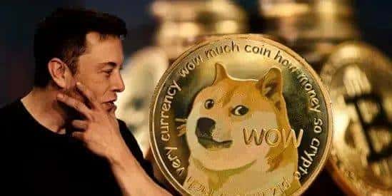 狗狗币（DOGE）绝地大反攻，底部稳固迹象显现？1美元成抄底或观望关键节点