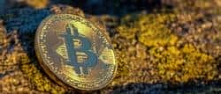 揭秘币圈：为何仅1%的人能赚百万以上？