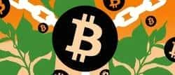 深度解析：有币区块链VS无币区块链，核心差异何在？
