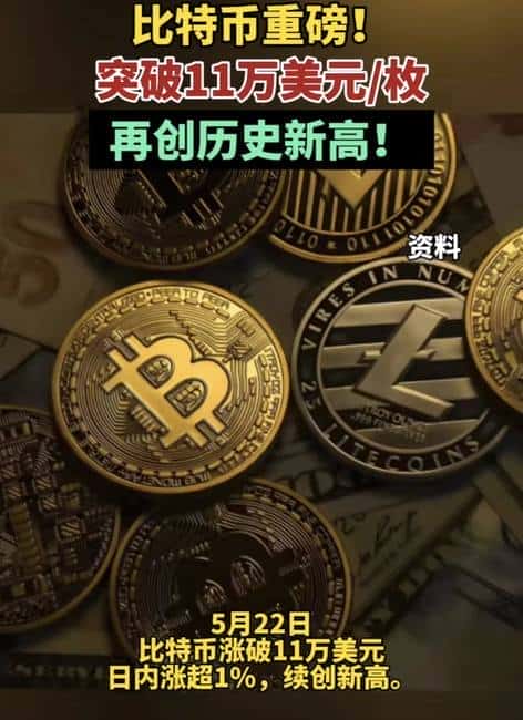 比特币破11万，加密货币新纪元：冲刺20万还是面临归零？