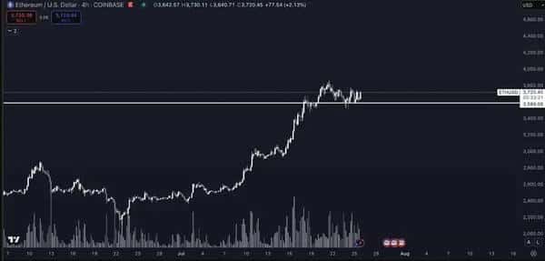BTC回调别慌!2025.7.26全球顶级交易员教你如何抄底布局