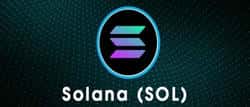 SOL面临抉择：冲上220还是跌破136？